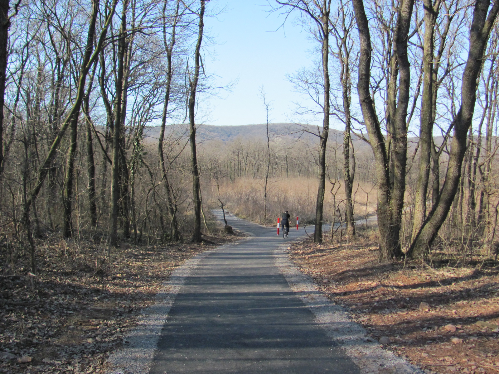 2011.03.12.Sikonda-Égervölgy 117