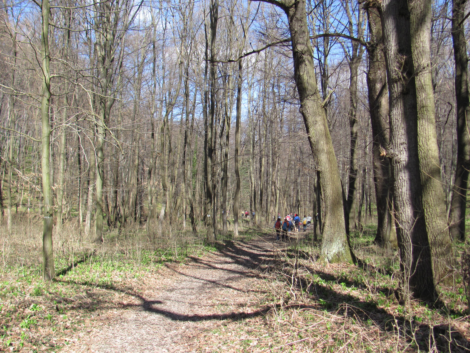 2011.03.14.Éger völgy-Orfű-égervölgy 014