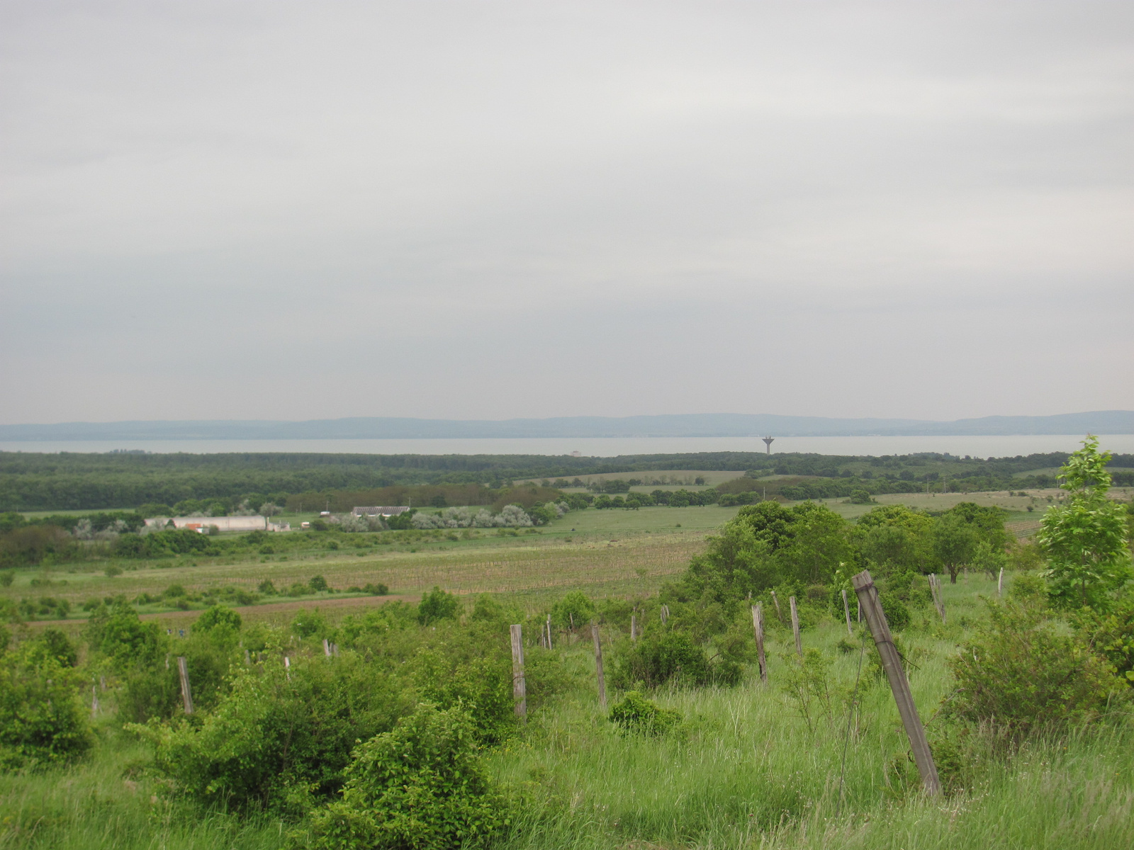 2011.05.08.Óbudavár teljesítménytúra 023