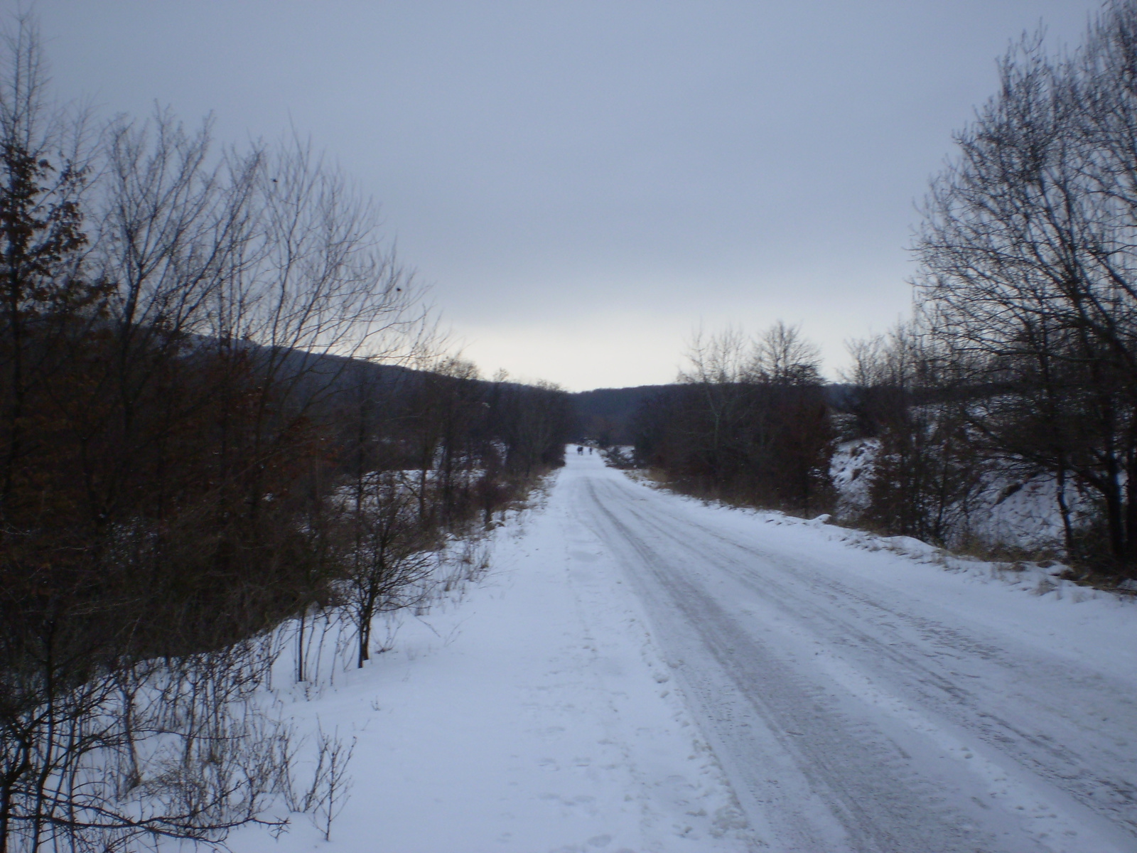 20090221 Petőcz felé