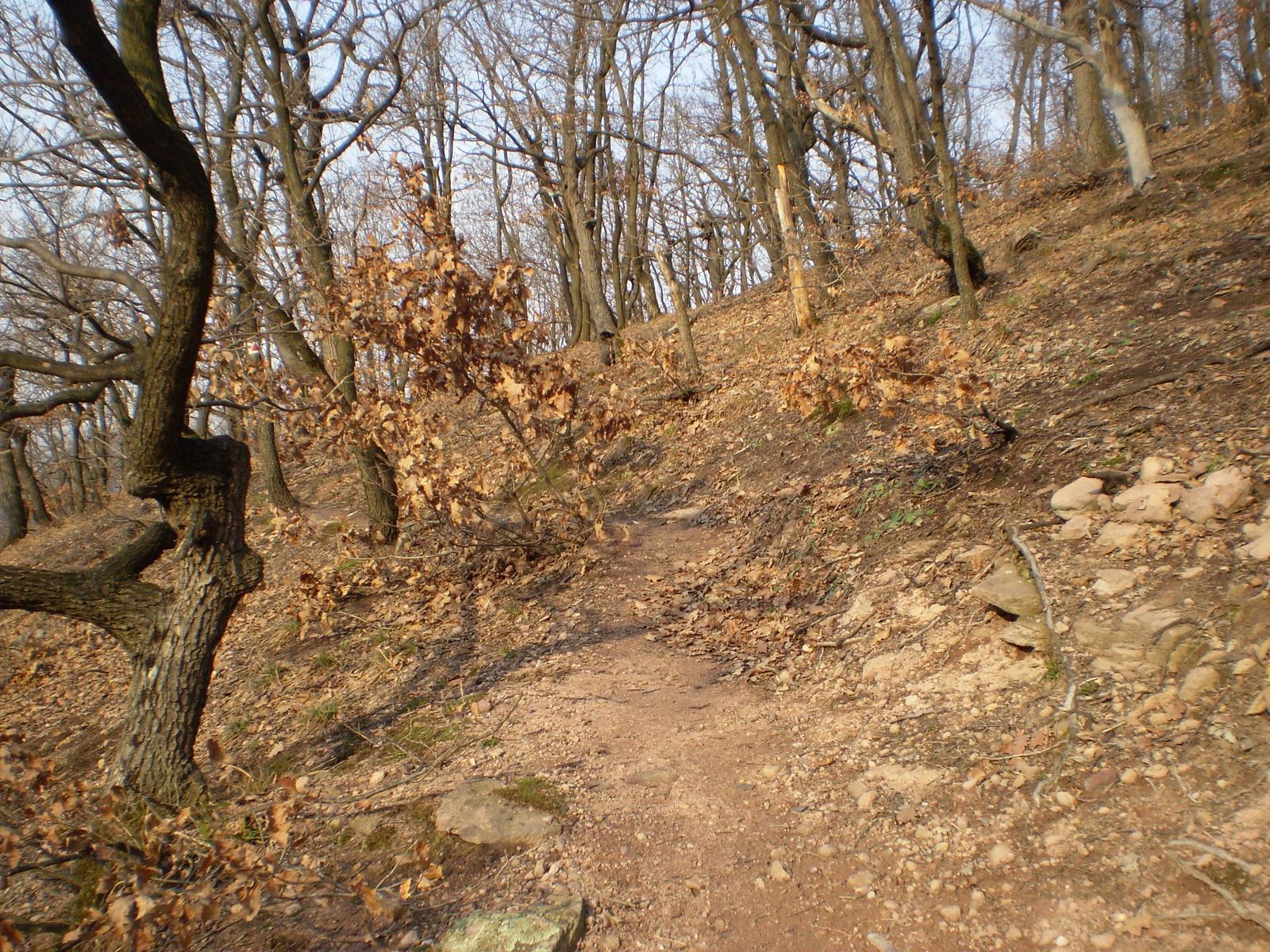 Panoráma úton a Jakab hegyen