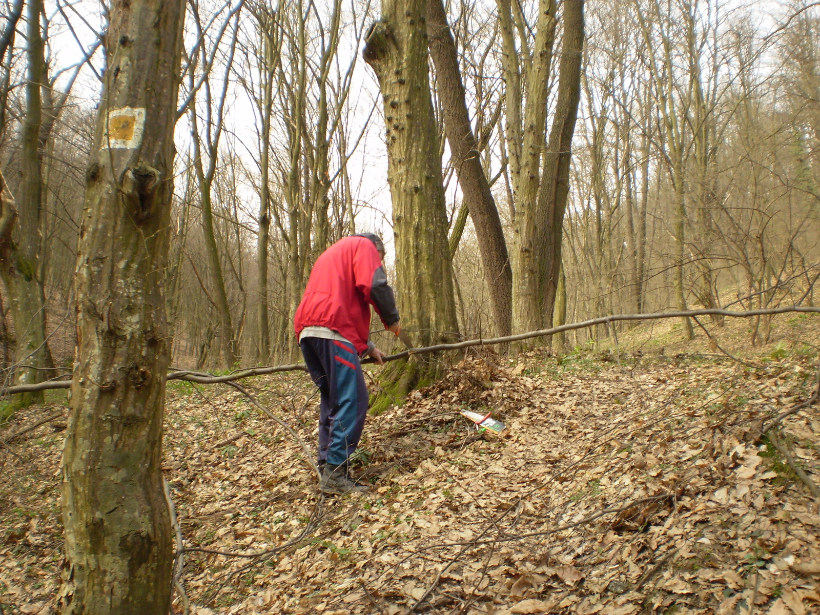 Nagy Kő oldal