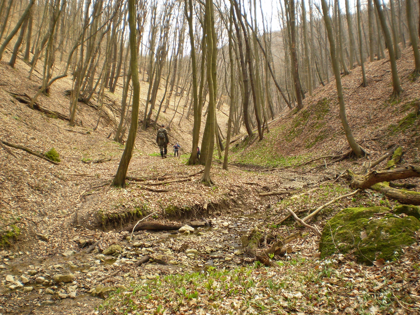 Nagy Kő oldal