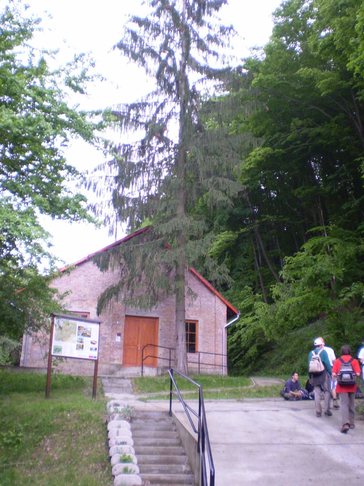 20090502Mecsek50 106