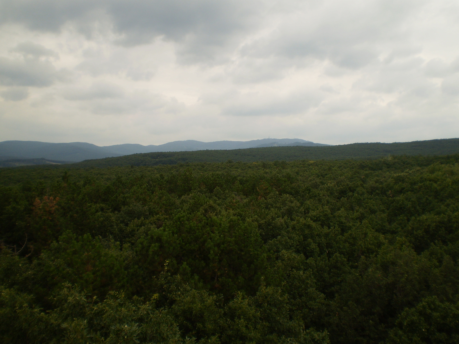 2009.08.13Gyöngyös 068