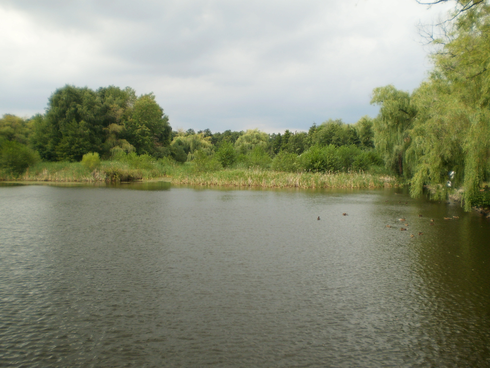 2009.08.13Gyöngyös 097