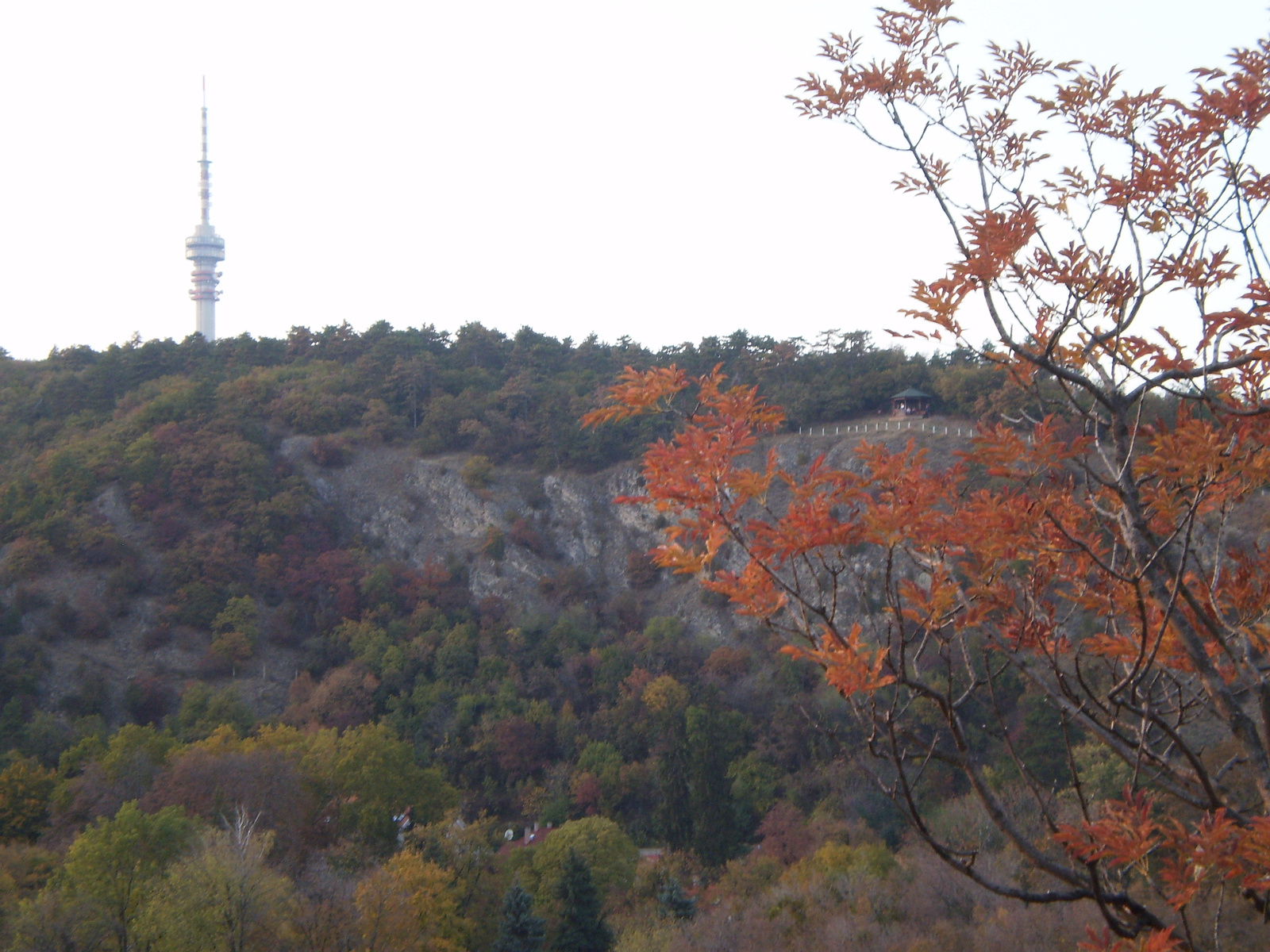 20091031 Pécsi séta 043