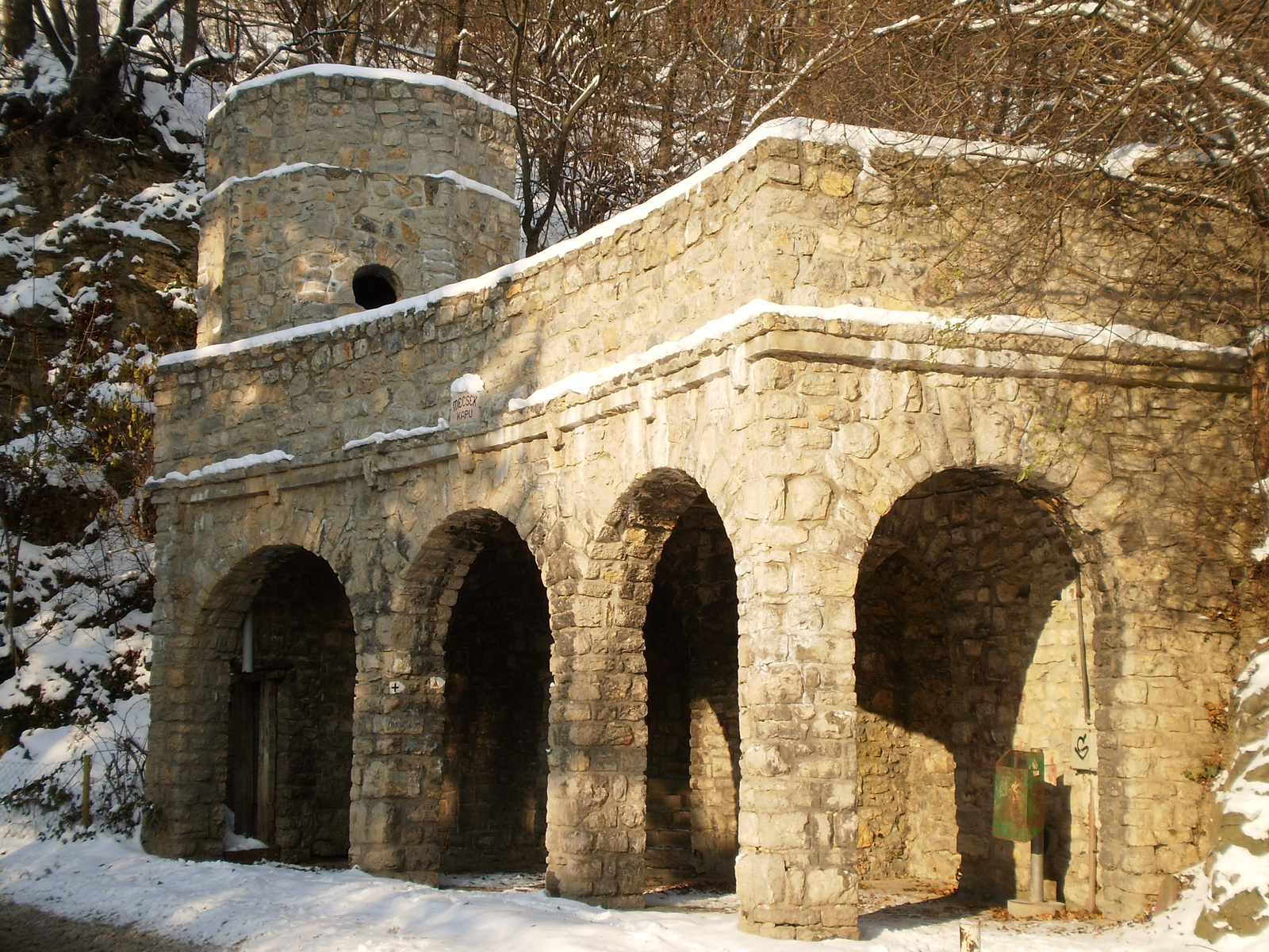 20091220Téli séta a Mecseki parkerdőben 104