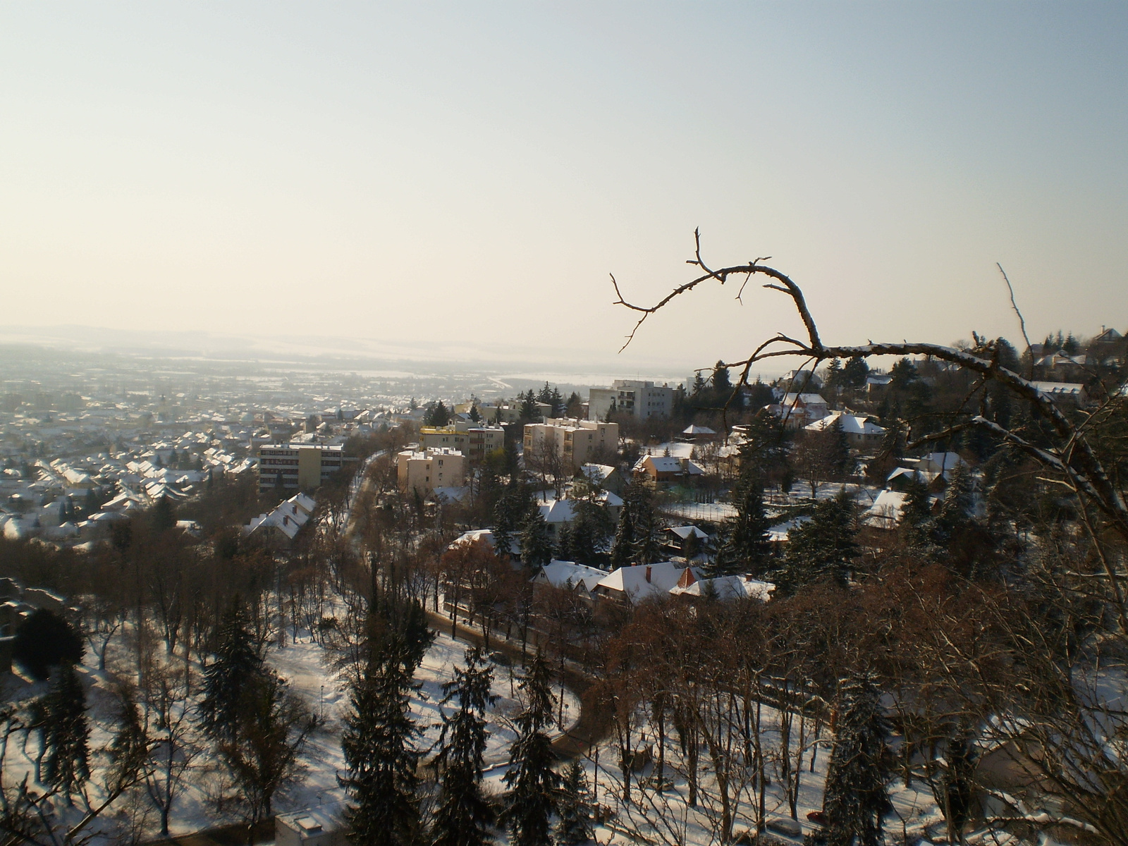 20091220Téli séta a Mecseki parkerdőben 021