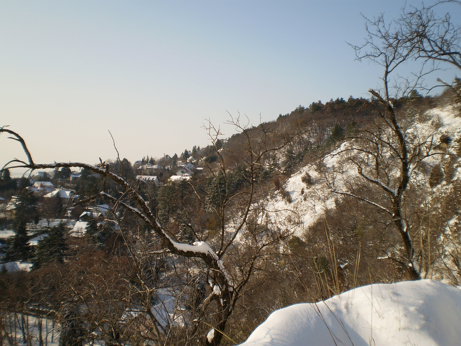 20091220Téli séta a Mecseki parkerdőben 022