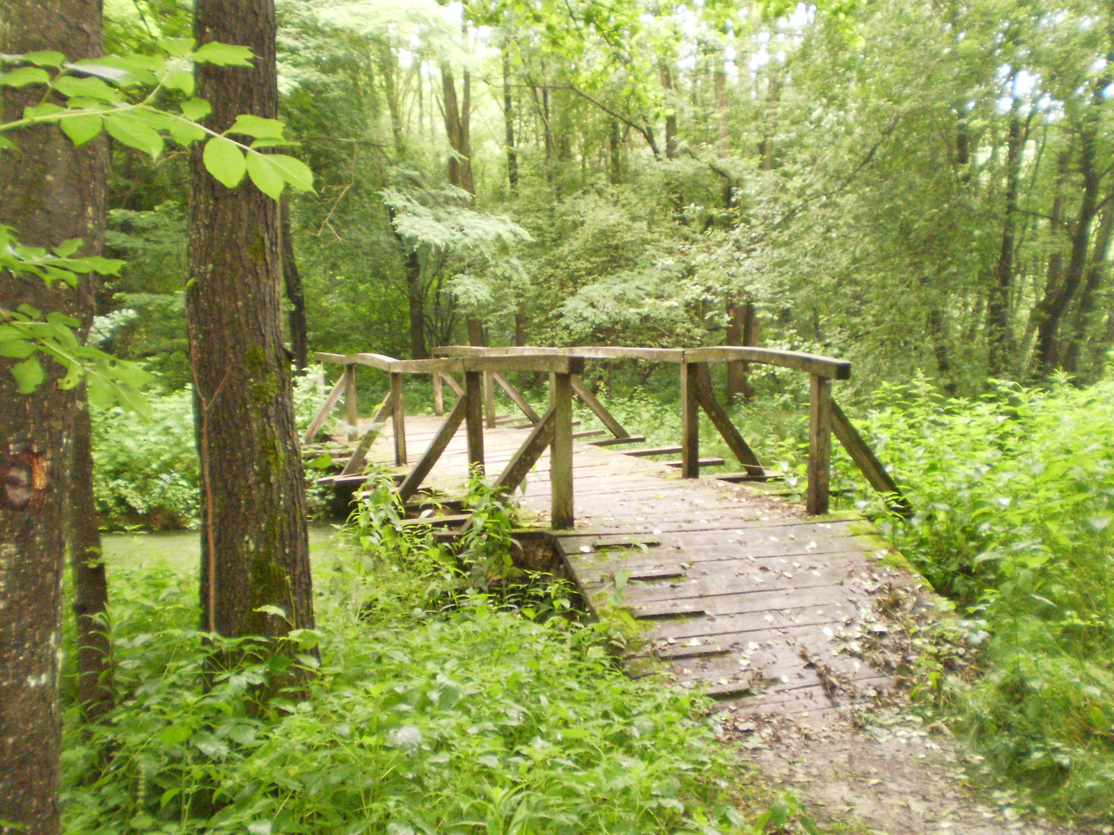 20100626-27 Zalaegerszeg 050