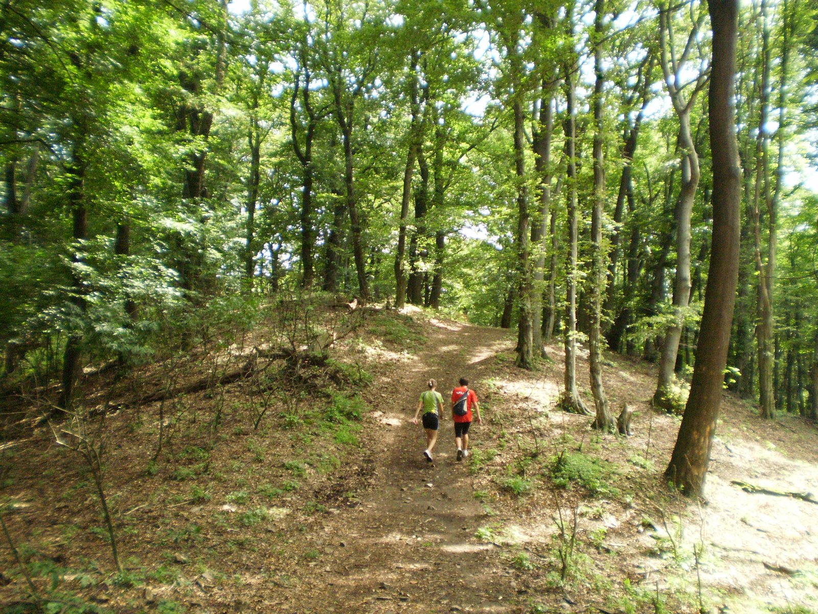 20100814 Mecsek 35 Zengő