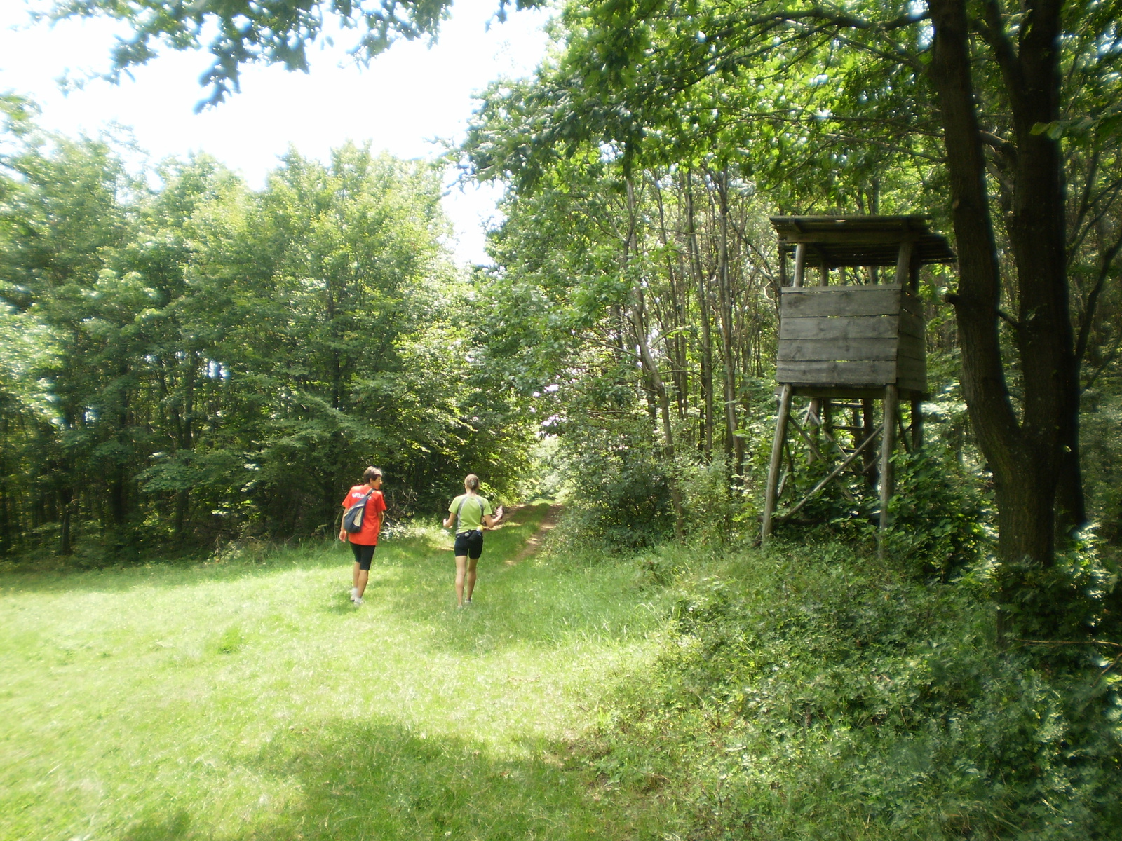 20100814 Mecsek 35 Zengő