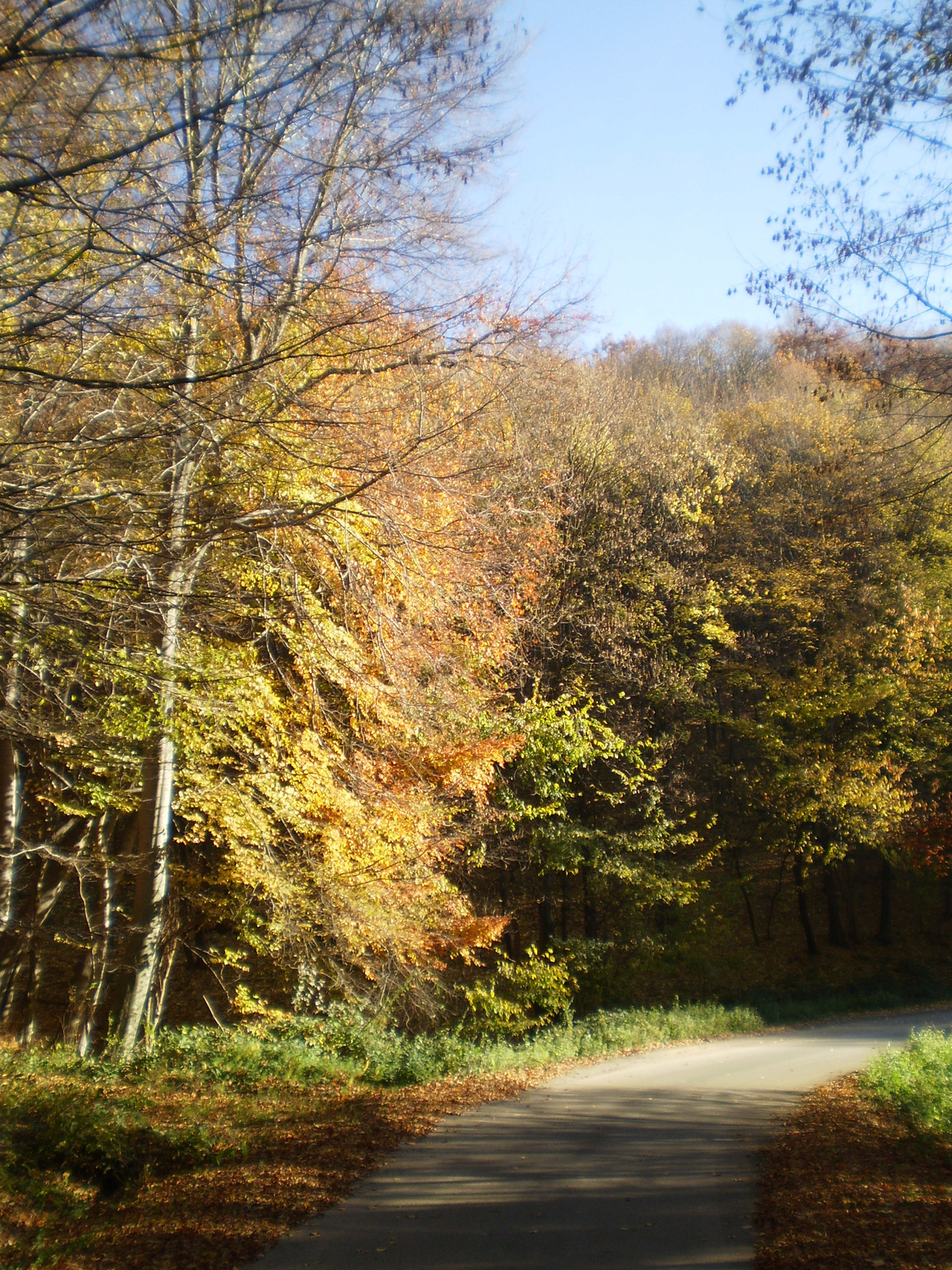 20101030Zobák-Pécsvárad 054