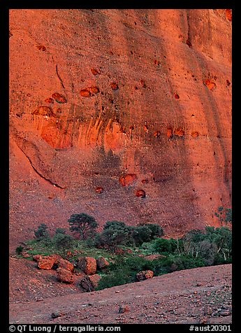 Rock wall, the Olgas.