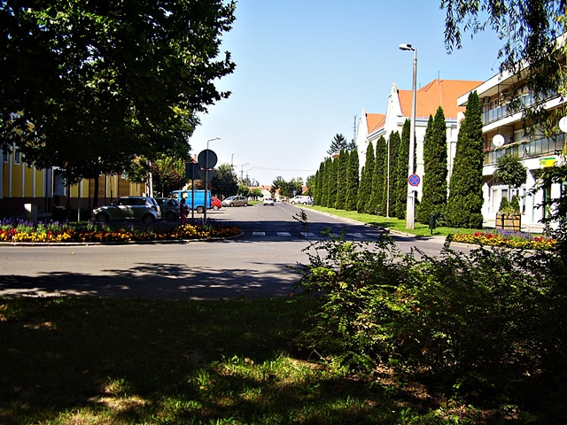 Utca kép 2