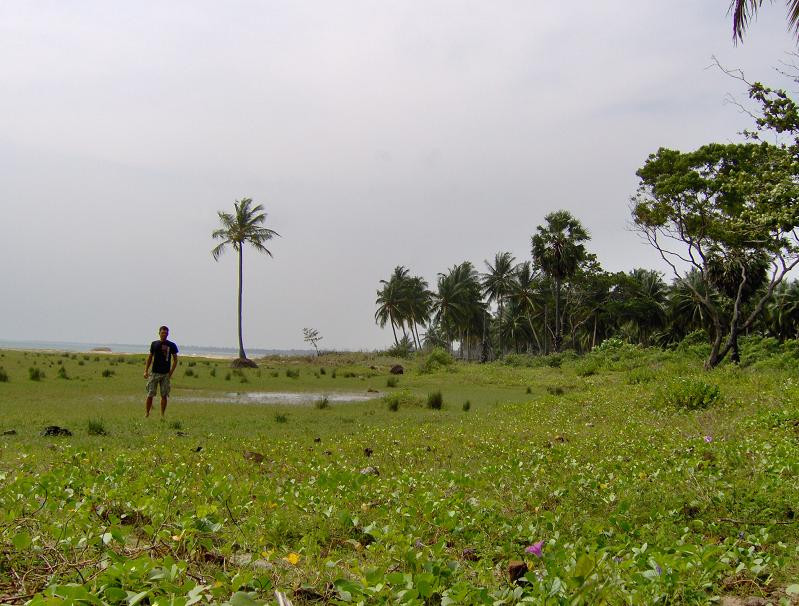 beach