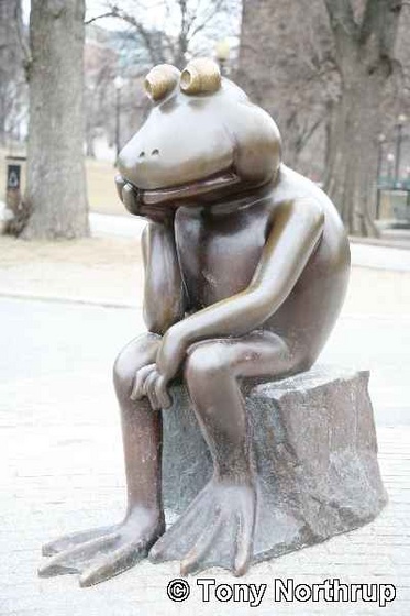 Frog-thinking