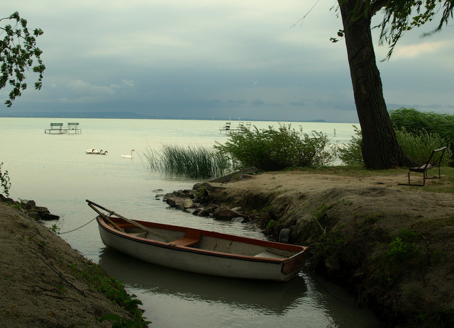 Fedezékben