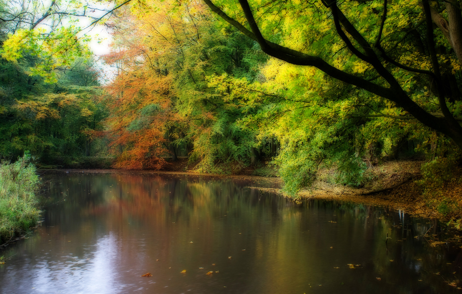 Amsterdamse Bos