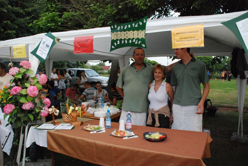 Falunap 2010. 254