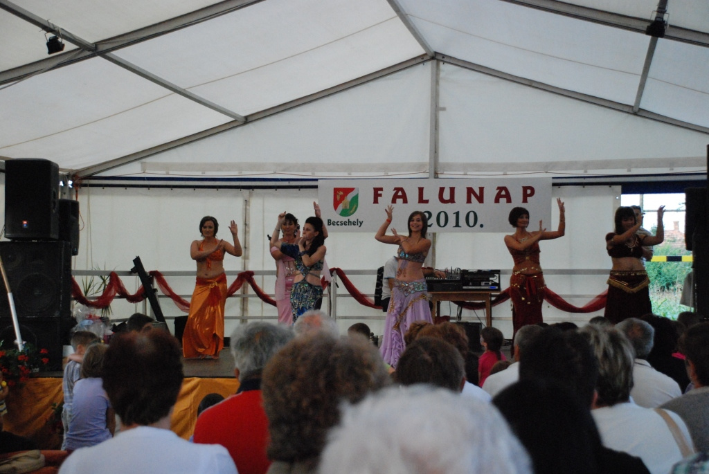 Falunap 2010. 351