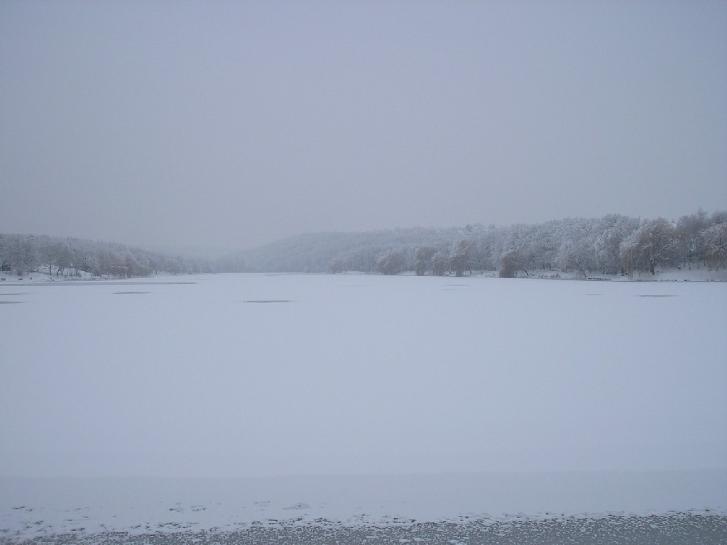 Malomvölgyi tó 021