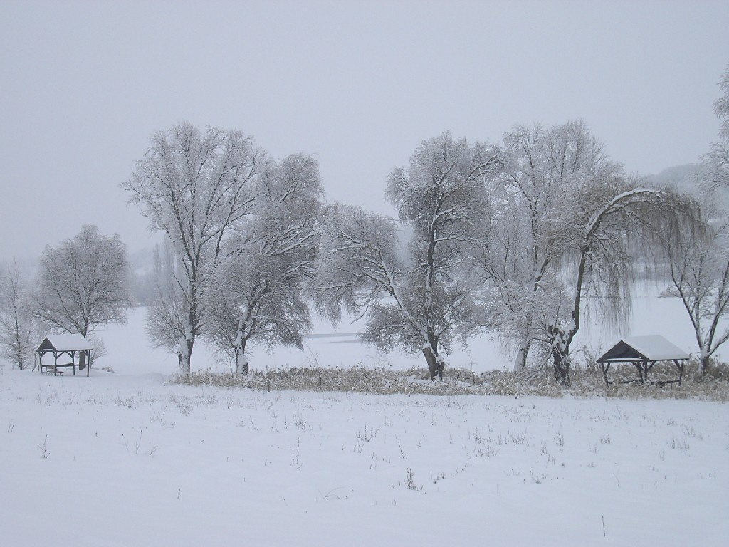 Pogányi tó 016