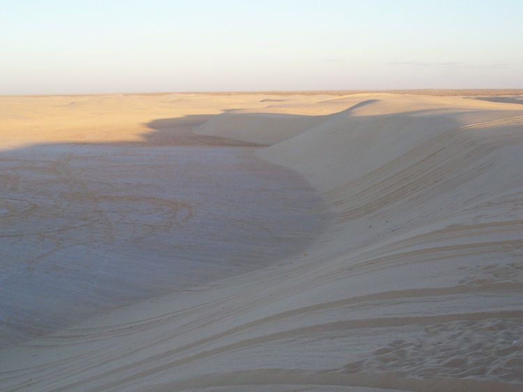 Sahara