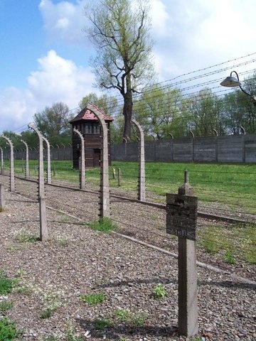 Auschwitz 2007