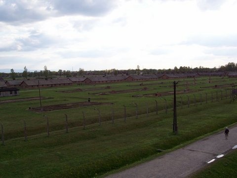 Birkenau 2007