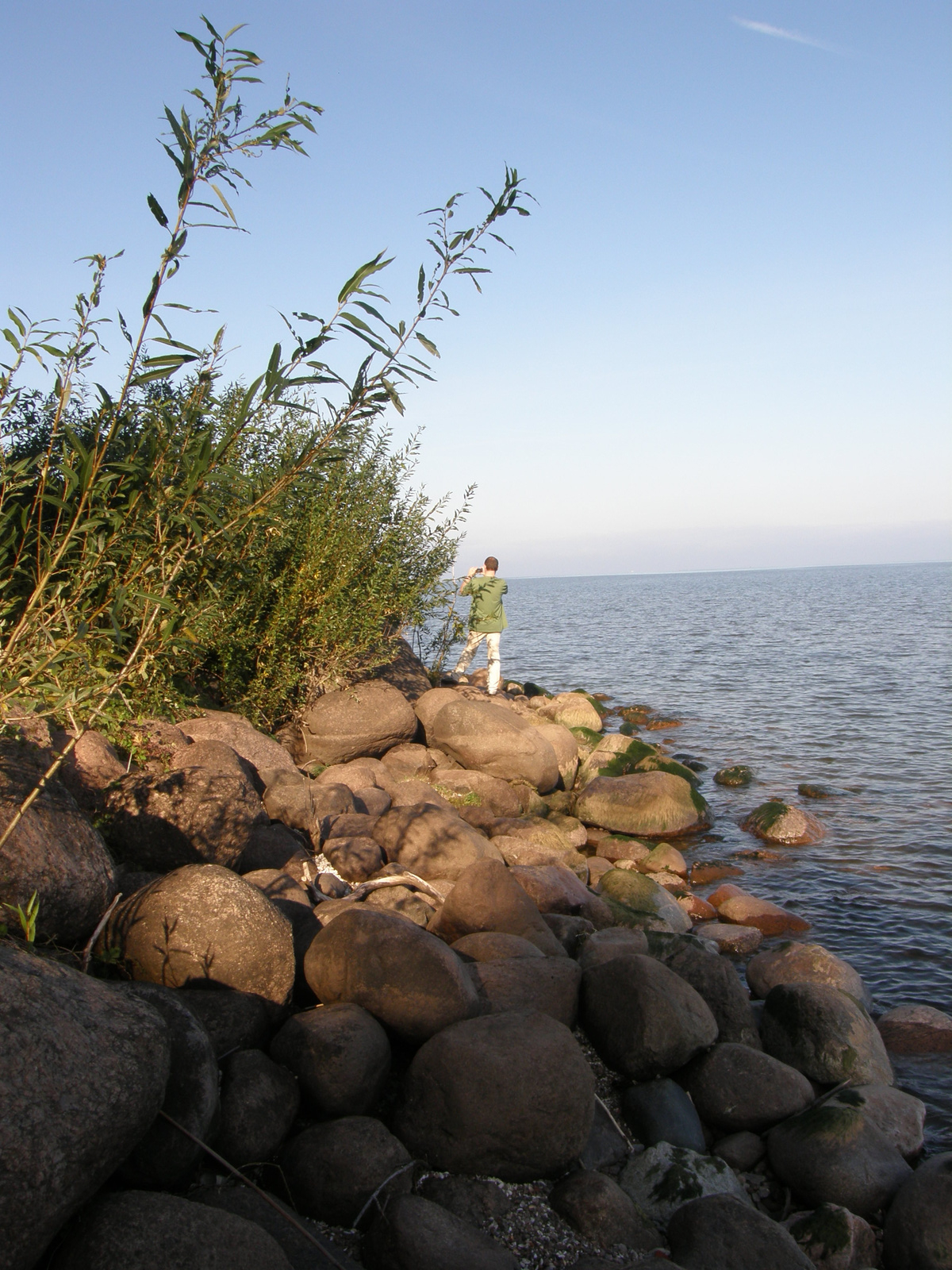 Peipsi-järv