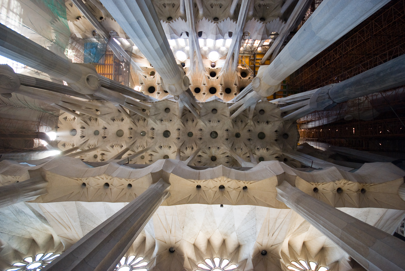 Sagrada Familia - Plafon