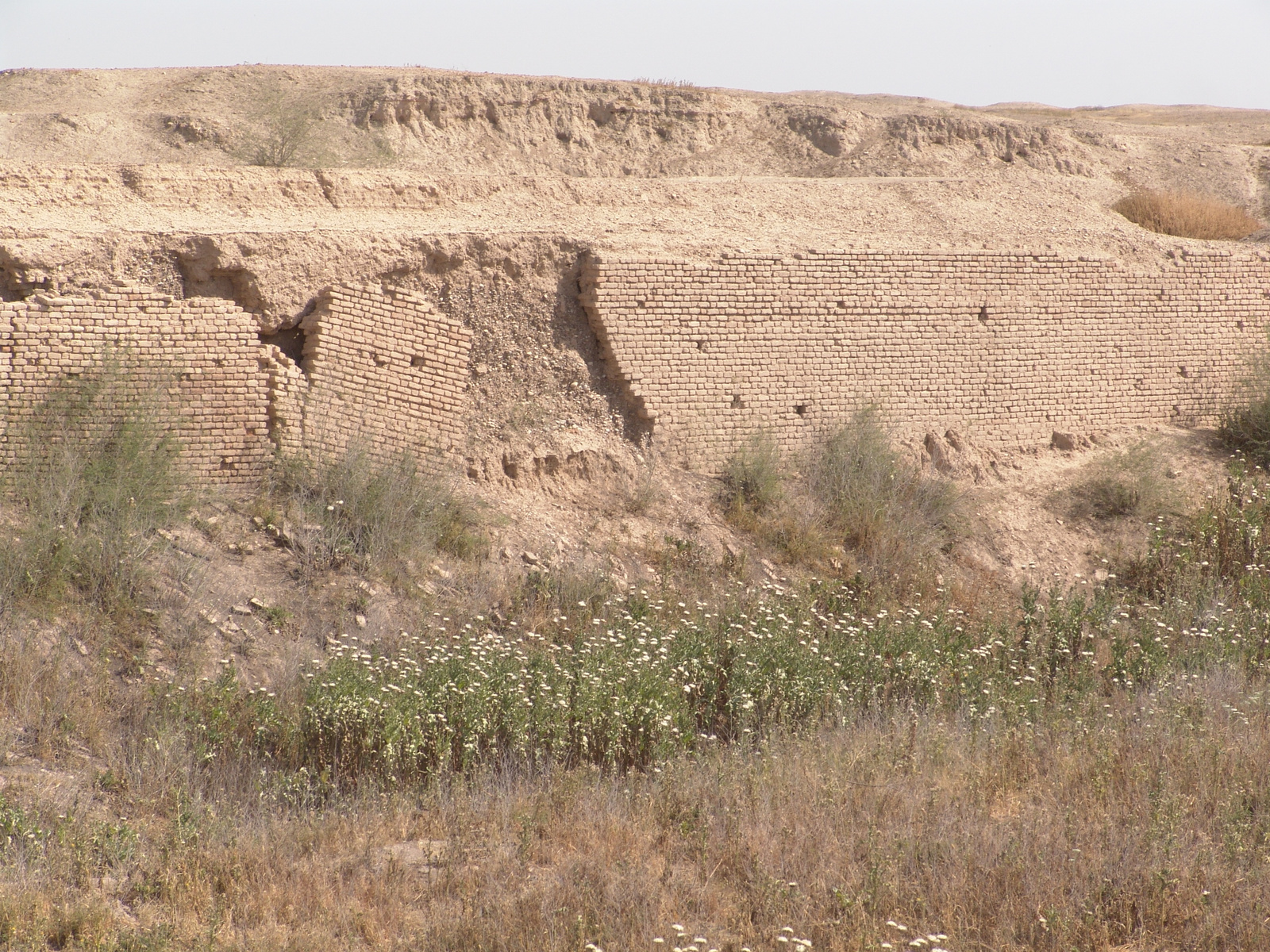 Iran,ChogaZambil,Sush,2010,04.02 275