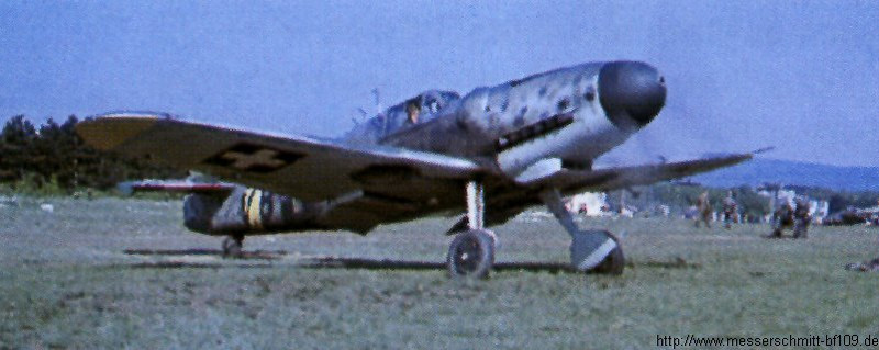 BF109197