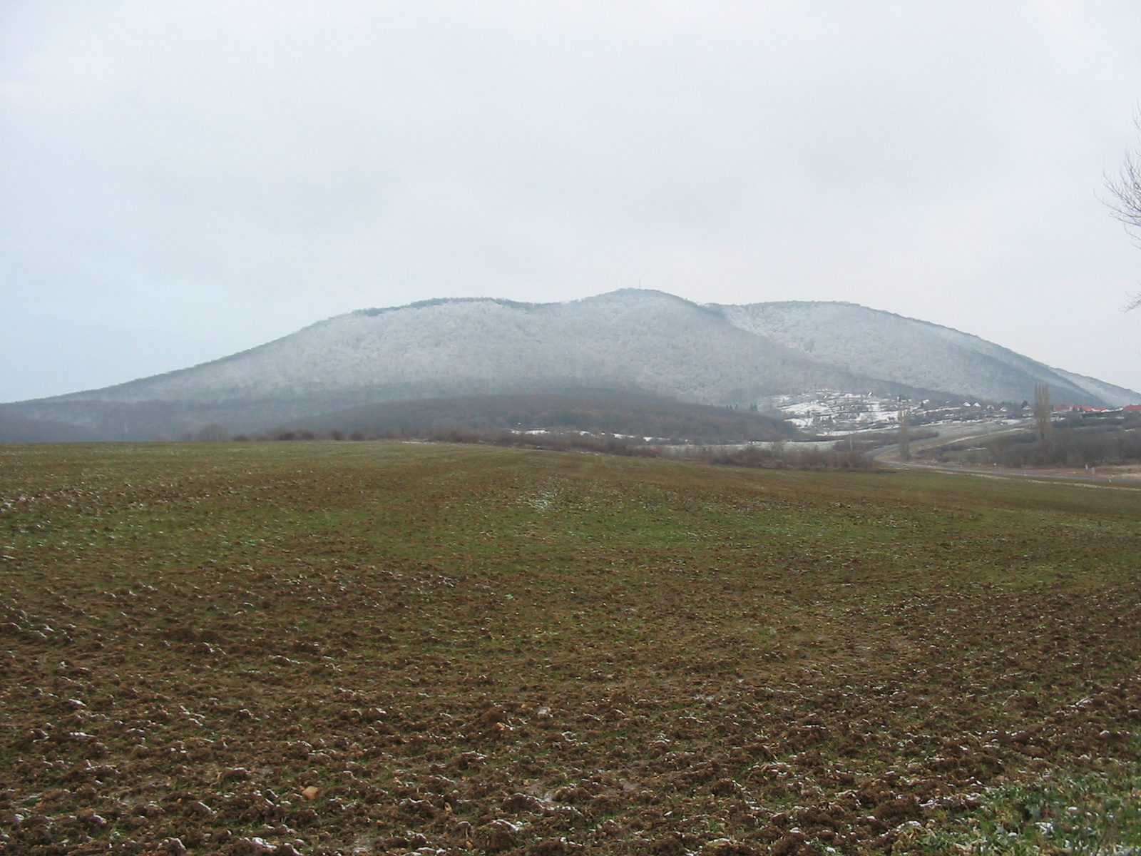 2011 01 22 H.Hetény-Pécs S. 003