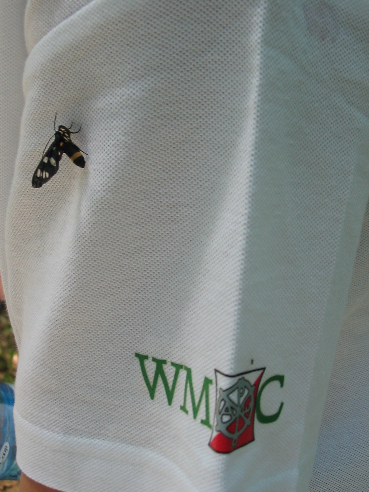 2011 07 05 WMOC 4 058