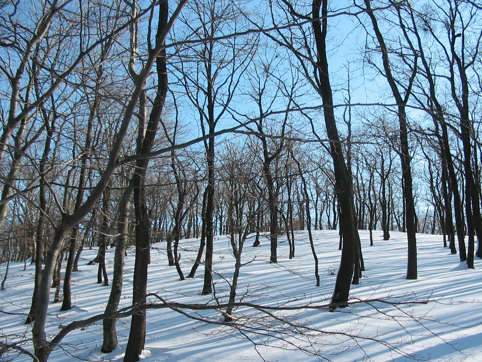 2010 02 02 Orfű-Égervölgy 069