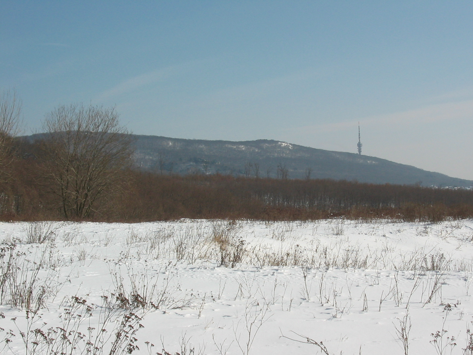 2010 02 14  Állatkert-Szentkút 040