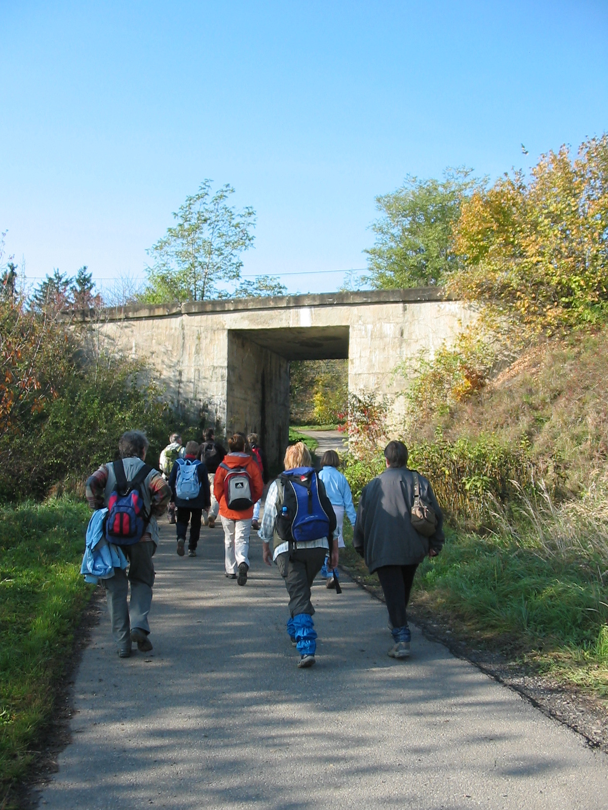 2010 10 23 Hosszúhetény -Szőlő 006