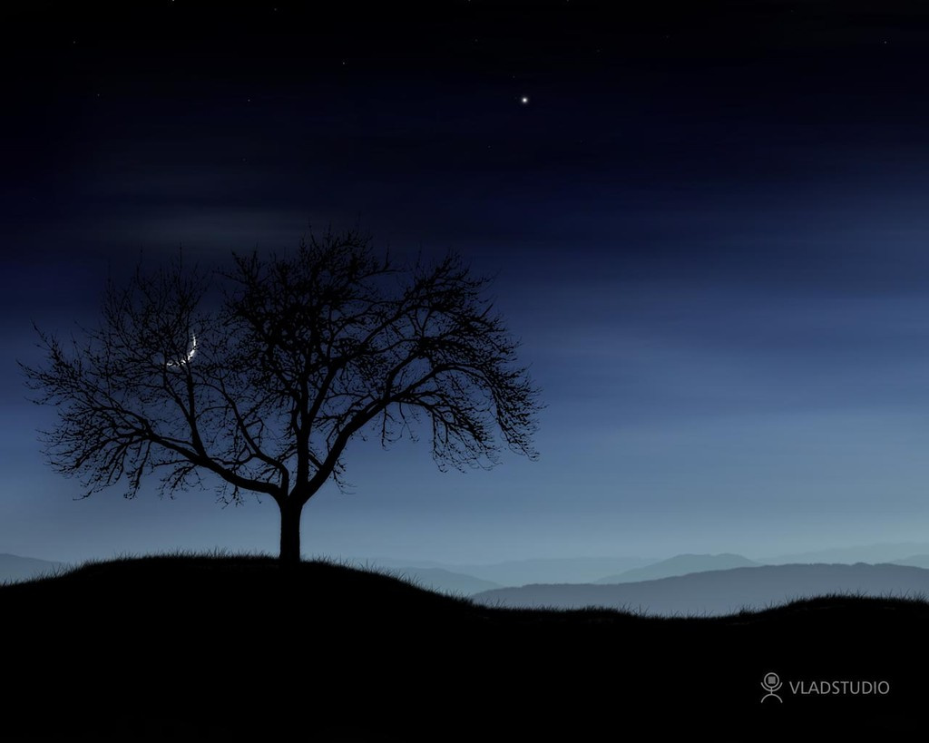 vladstudio tree and moon 1280x1024 121918