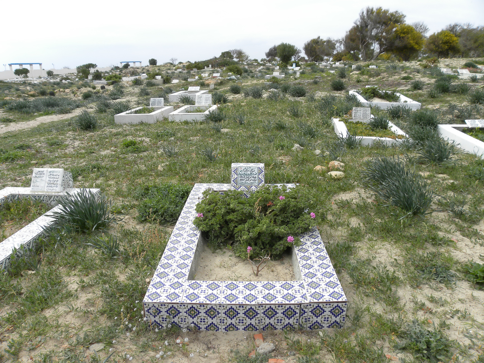 Hammamet, arab temető