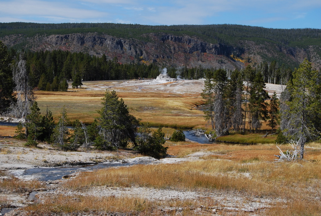 US 2010 Day08  071 Upper Geyser Basin, Yellowstone NP, WY