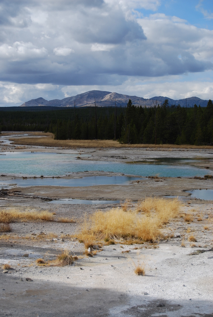 US 2010 Day10  102 Norris Geyser Basin, Yellowstone NP,WY