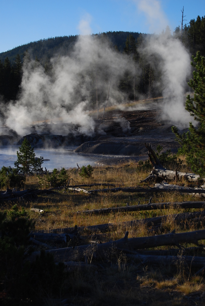 US 2010 Day10  005 Mud Geyser, Yellowstone NP. WY