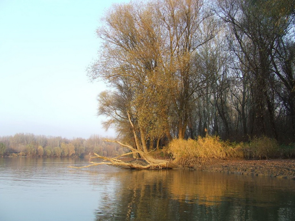 A Tisza ősszel