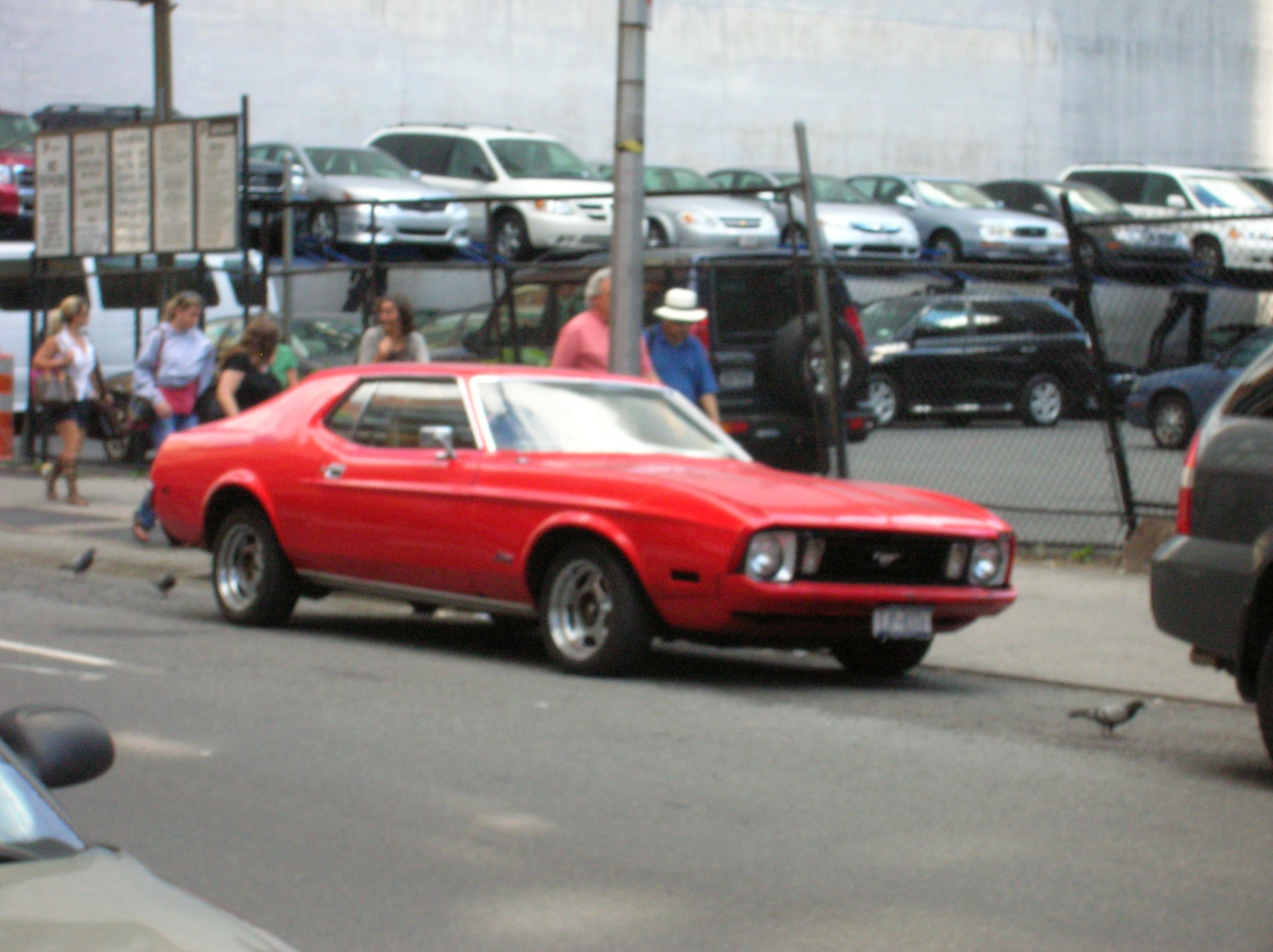 Ford mustang