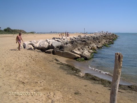 Bibione mindenhol...