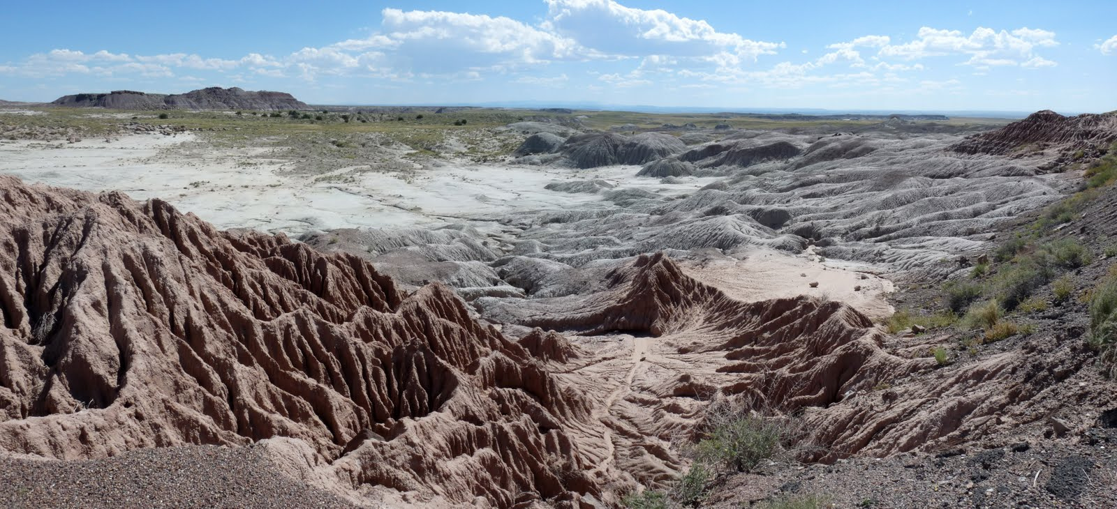 069Southwest Petrified Forest