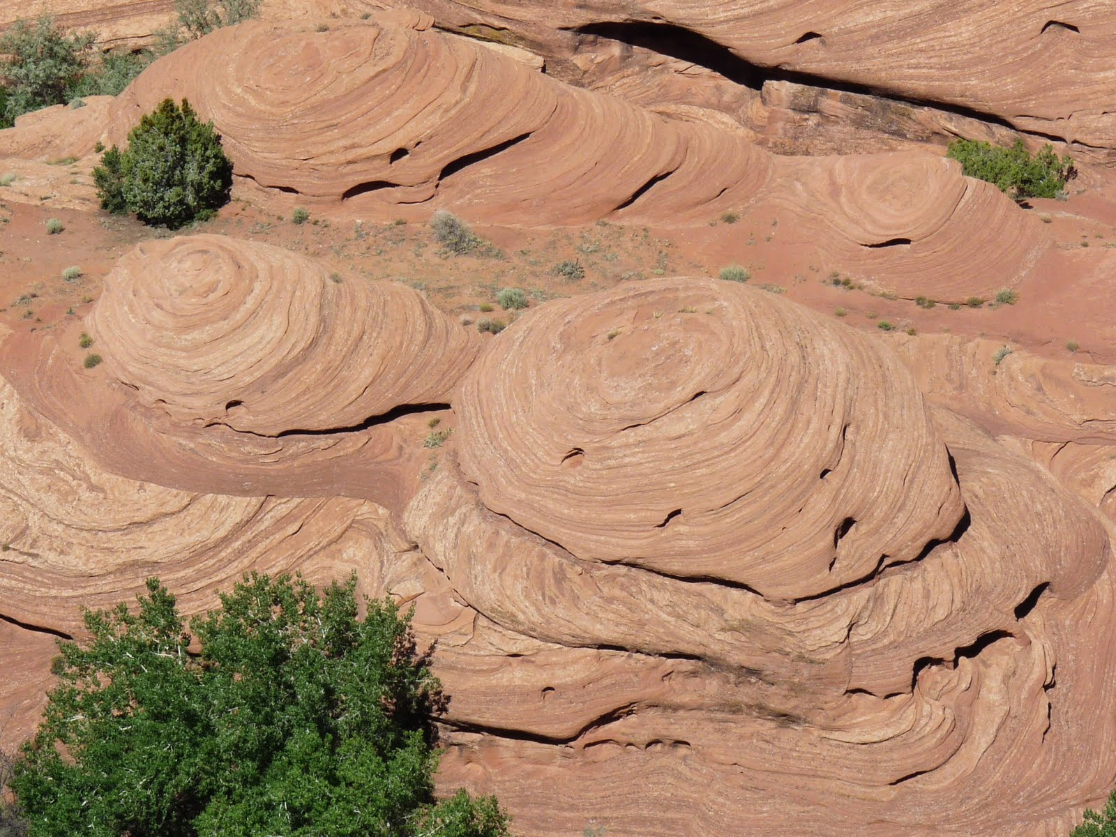 152Southwest Canyon de Chelly